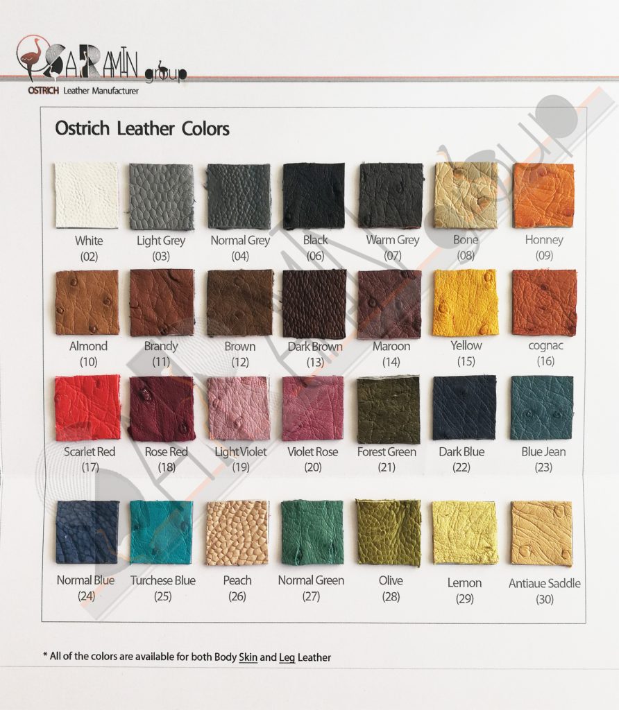 Ostrich Asia - Ostrich Finished Leather 2022 color chart