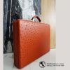 briefcase-gerbera-6